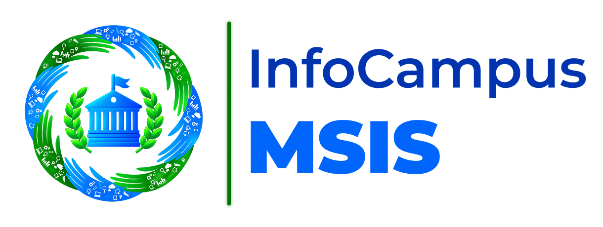 MSIS 1